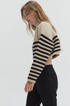 Avery Turtleneck Striped Sweater Top
