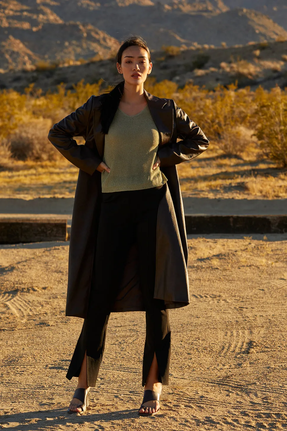 Evani Vegan Leather Coat