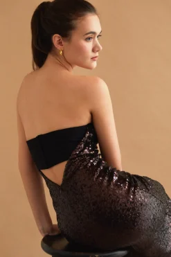 Everly Sequins Tube Dress