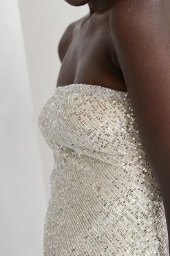 Helen Sequins Tube Dress