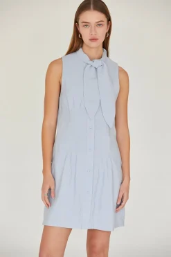 Joelene Neck Tie Dress