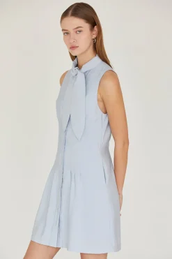 Joelene Neck Tie Dress