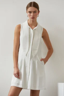 Joelene Neck Tie Dress