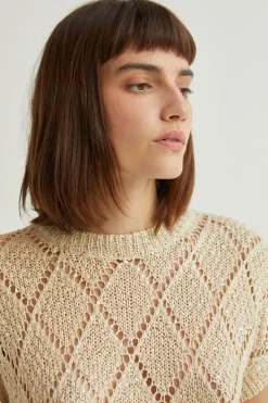 Remy Netted Knit Top